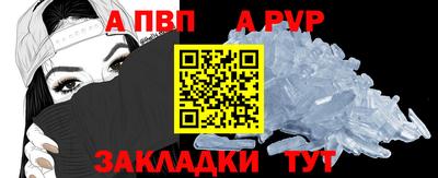 PSILOCYBIN Ярославль