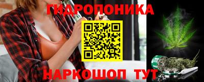 PSILOCYBIN Ярославль
