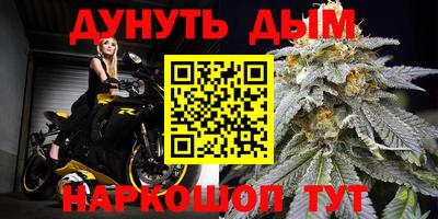 PSILOCYBIN Ярославль