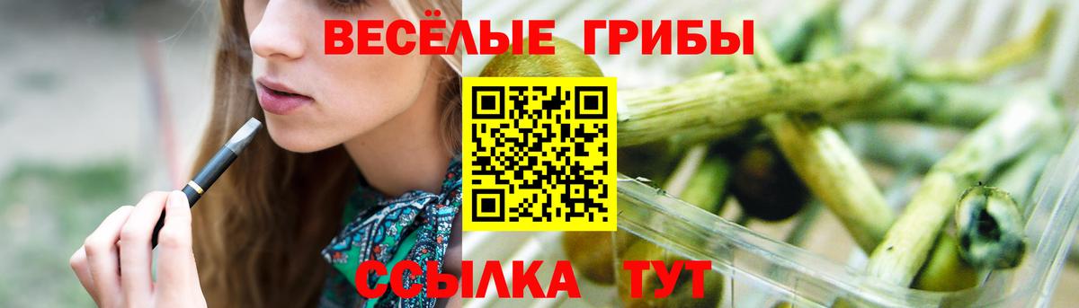 Батайск  Псилоцибиновые грибы Psilocybe  купить наркотик  Вход с VPN  Галлюциногенные грибы прущие грибы 